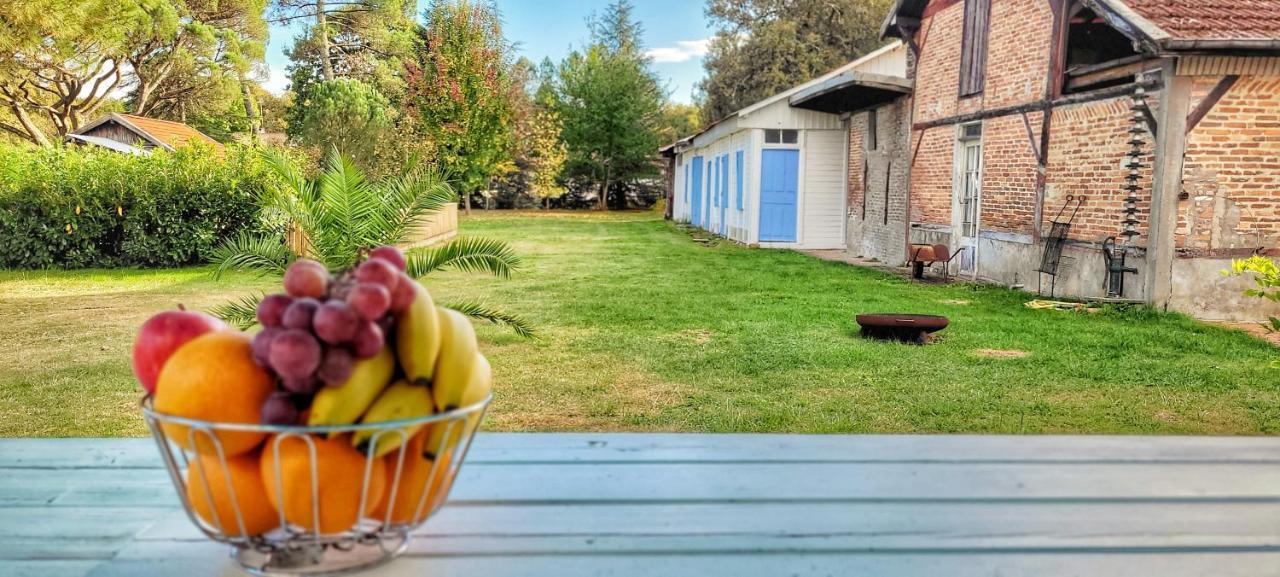 Charmante Maison Dans Les Landes X 10 Avec Piscine Et Salle D Escalade *