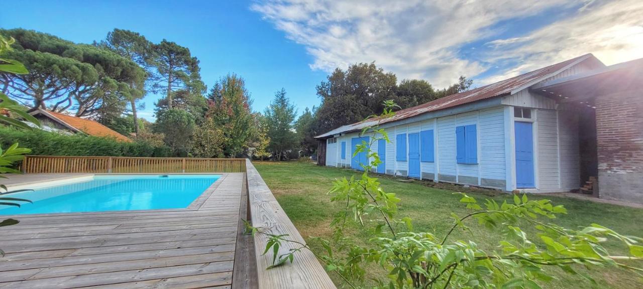 Charmante Maison Dans Les Landes X 10 Avec Piscine Et Salle D Escalade *